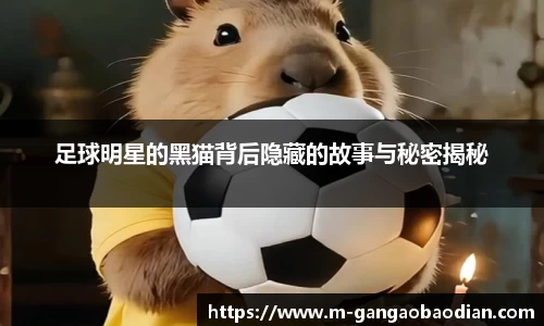 关键词4