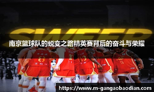南京篮球队的蜕变之路精英赛背后的奋斗与荣耀